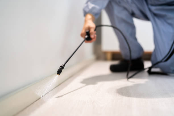 Licensed Mosquito Control service in Mount Vernon, VA - Show Me Pest Control