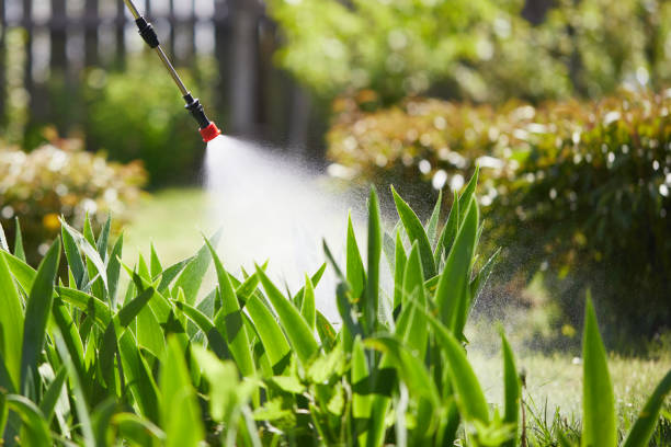 24/7 Emergency Mosquito Control experts in Mount Vernon, VA