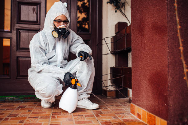 Reliable Mosquito Control contractor in Mount Vernon, VA by Show Me Pest Control